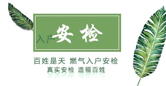 安庆燃气入户安检系统